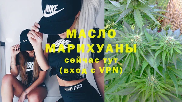 стаф Дмитриев