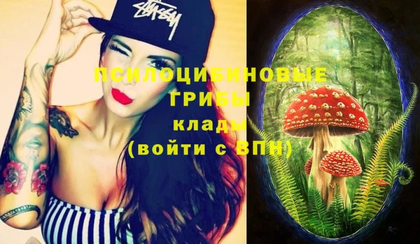 стаф Дмитриев
