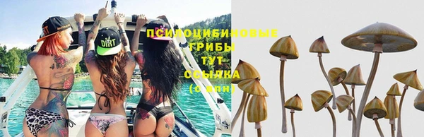 амфетамин Дмитров